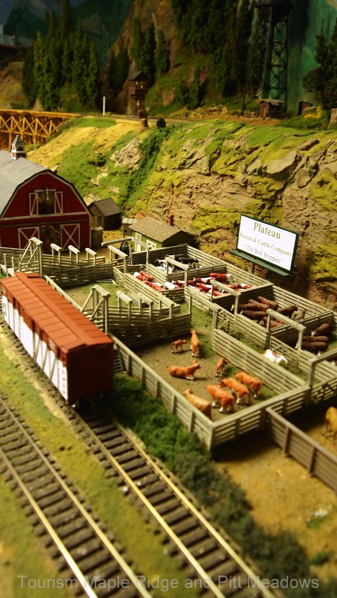 Model Train, Cattle Farm DARS